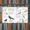 Підручник відважного мандрівника. Boys’ Book - Час Майстрів (9786178253738)