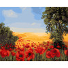 Картина по номерам Украинские сюжеты Полевые маки ℗ 40*50 см Оригами LW 3131