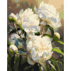 Картина по номерам Цветы. гармония пионов ℗ 40*50 см Оригами LW 3533
