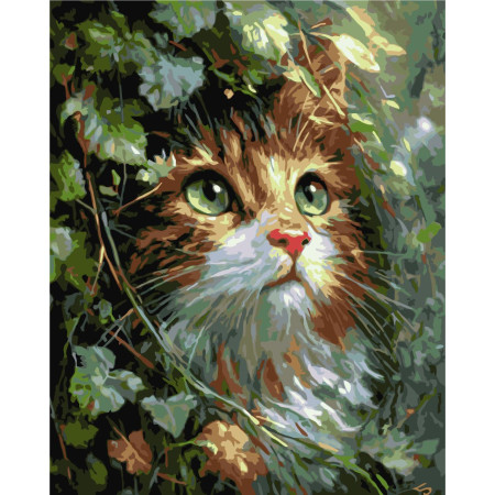 Картина по номерам Животные. Милый котенок с изумрудными глазами © 40*50 см Оригами LW 2002-01