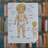Книга "Енциклопедія малюка. 40 основних тем" серія Вчимося весело (Пегас)